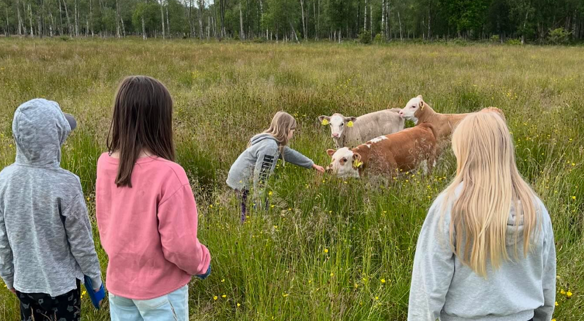 Kättilsröds 4H-gård